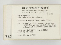 冇骨消絲齒菌藏品圖，第2張