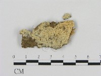 登錄號:F0003596藏品圖，第1張