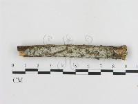 登錄號:F0003597藏品圖，第1張