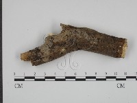 登錄號:F0003598藏品圖，第1張