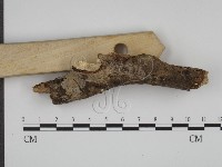 登錄號:F0003598藏品圖，第3張