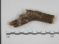 登錄號:F0003598藏品圖，第4張