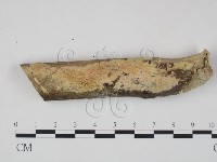 登錄號:F0003599藏品圖，第1張