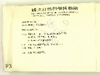 刺皮菌屬藏品圖，第2張