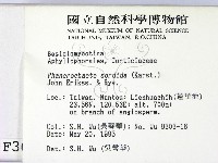 登錄號:F0003604藏品圖，第2張
