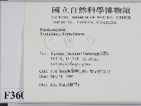 登錄號:F0003606藏品圖，第2張