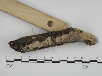 登錄號:F0003606藏品圖，第3張