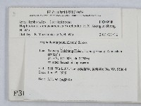 登錄號:F0003608藏品圖，第2張