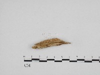 登錄號:F0003608藏品圖，第3張