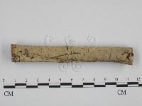 登錄號:F0003610藏品圖，第1張