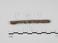 登錄號:F0003612藏品圖，第3張