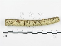 登錄號:F0003613藏品圖，第1張