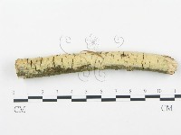 登錄號:F0003613藏品圖，第3張