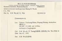登錄號:F0003613藏品圖，第4張