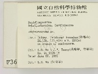 傑克菌屬藏品圖，第2張