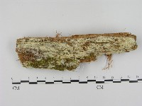 登錄號:F0003617藏品圖，第1張