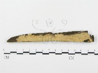 登錄號:F0003618藏品圖，第1張