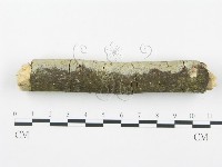 登錄號:F0003619藏品圖，第1張