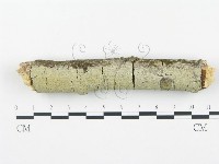 登錄號:F0003619藏品圖，第3張