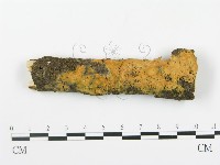 登錄號:F0003620藏品圖，第1張