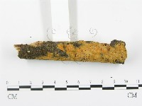 登錄號:F0003620藏品圖，第3張
