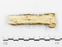 登錄號:F0003620藏品圖，第4張