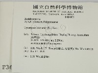 登錄號:F0003621藏品圖，第2張