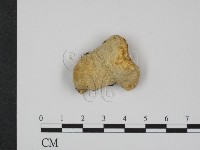 登錄號:F0003621藏品圖，第3張