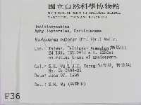 登錄號:F0003622藏品圖，第2張