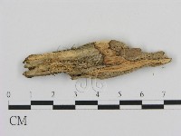 登錄號:F0003622藏品圖，第1張