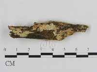 登錄號:F0003622藏品圖，第3張