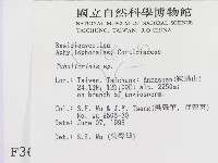 登錄號:F0003623藏品圖，第2張