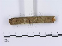 登錄號:F0003623藏品圖，第4張