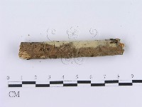 登錄號:F0003623藏品圖，第5張