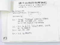 登錄號:F0003624藏品圖，第3張