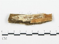 登錄號:F0003624藏品圖，第4張