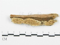 登錄號:F0003624藏品圖，第6張