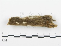 登錄號:F0003624藏品圖，第8張