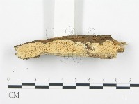 登錄號:F0003624藏品圖，第9張