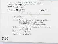 登錄號:F0003625藏品圖，第2張