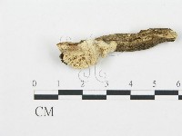 登錄號:F0003625藏品圖，第1張