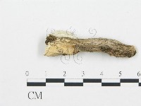 登錄號:F0003625藏品圖，第4張