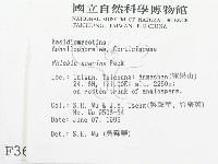 登錄號:F0003626藏品圖，第2張