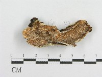 登錄號:F0003626藏品圖，第1張