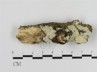 登錄號:F0003627藏品圖，第1張