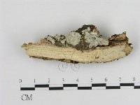 登錄號:F0003627藏品圖，第3張