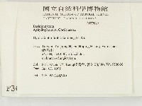 登錄號:F0003629藏品圖，第2張