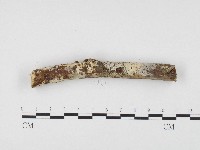 登錄號:F0003629藏品圖，第1張