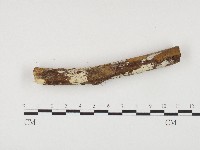 登錄號:F0003629藏品圖，第3張