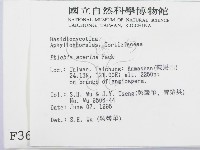 登錄號:F0003633藏品圖，第2張